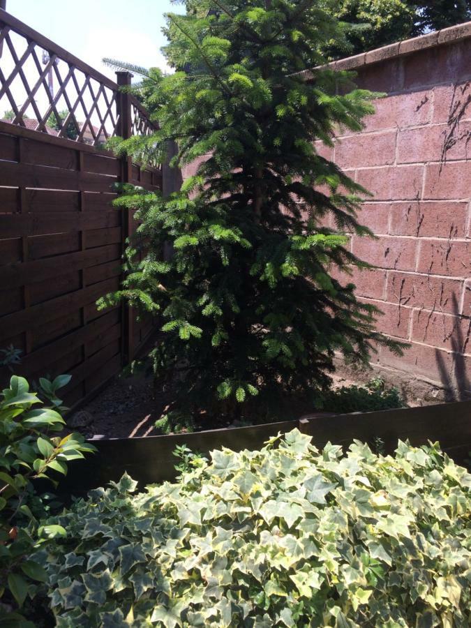 La Porta Nel Giardino Lejlighed Asti Eksteriør billede