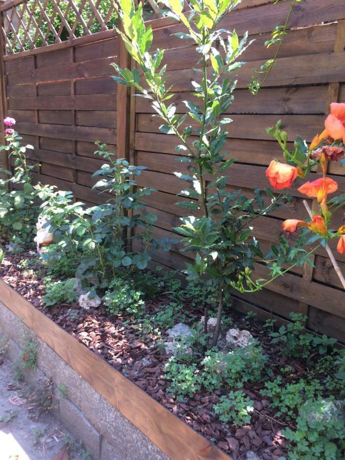 La Porta Nel Giardino Lejlighed Asti Eksteriør billede